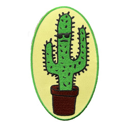 Cool Cactus Patch